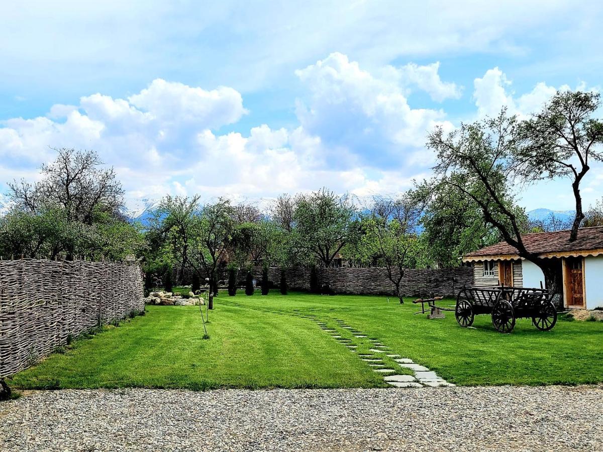 Joyard - Pensiune & Parc Porumbacu de Sus Exterior photo